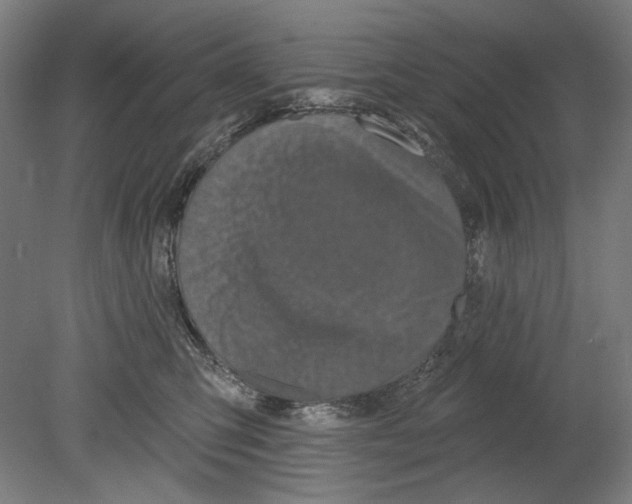 X0000080150423200701051544