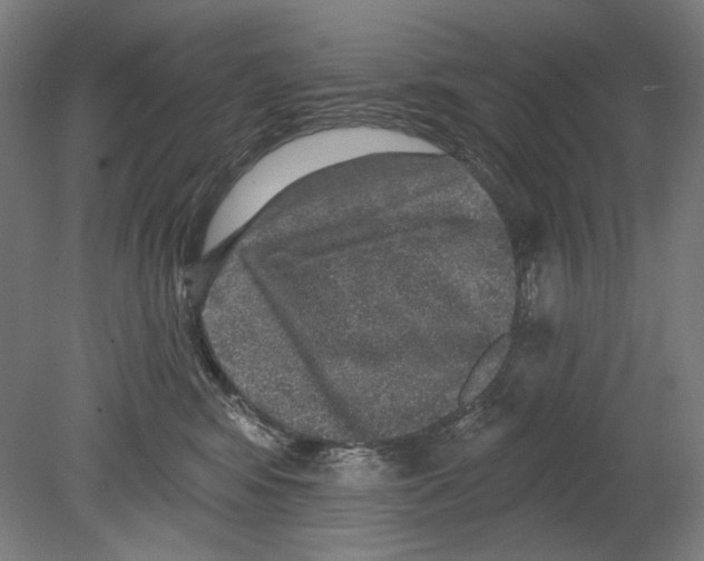 X0000080150424200701051544