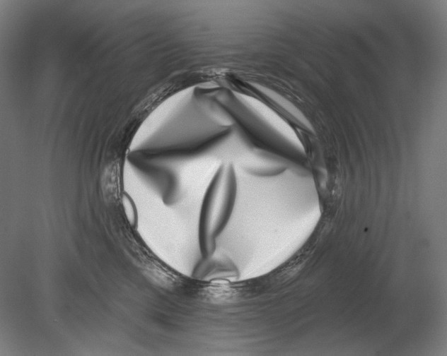 X0000080150425200701051544
