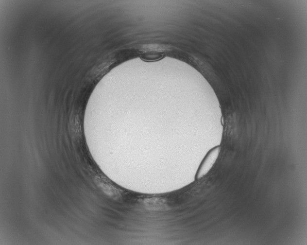 X0000080150426200701051544