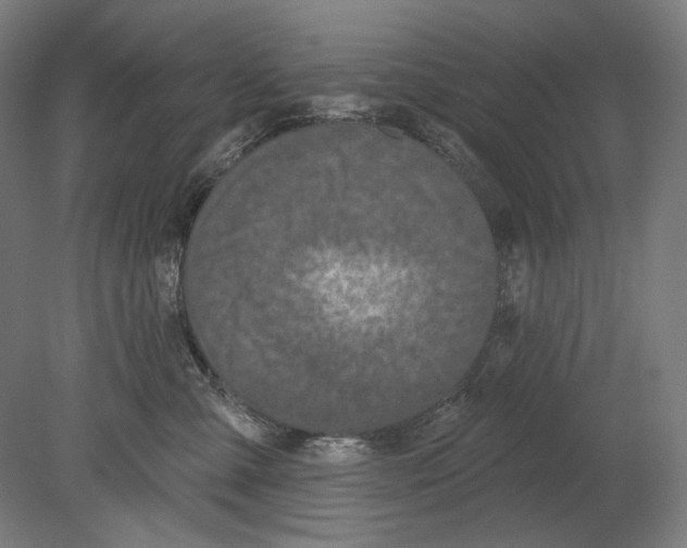 X0000080150427200701051544