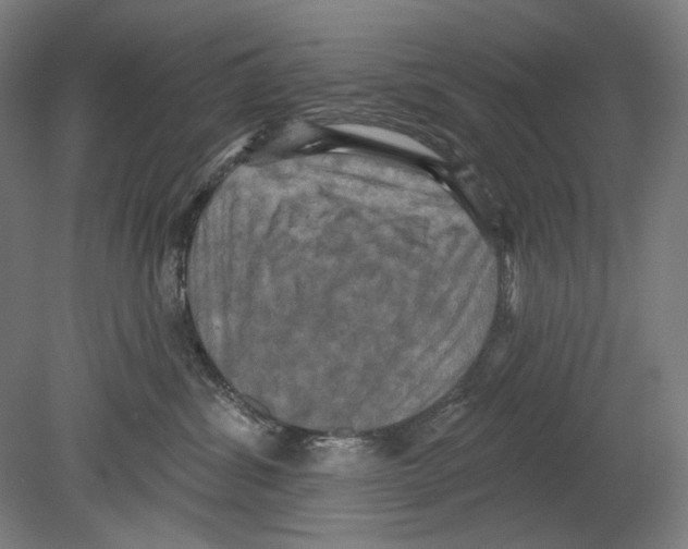 X0000080150428200701051544