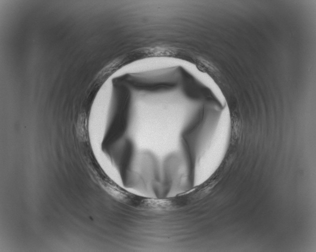 X0000080150429200701051544
