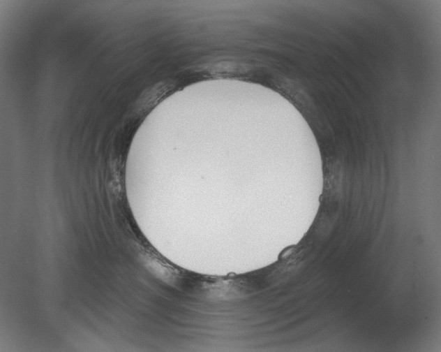 X0000080150430200701051544