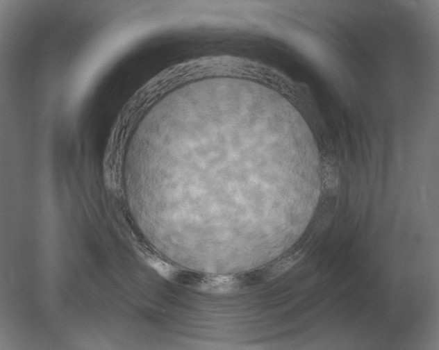 X0000080150431200701051544