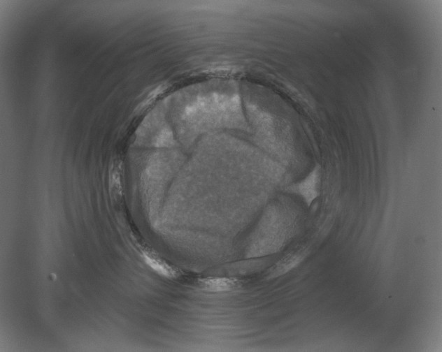 X0000080150432200701051544