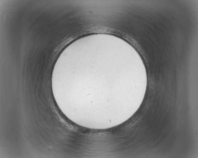 X0000080150433200701051543