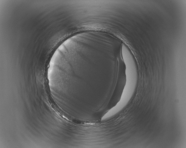 X0000080150434200701051543