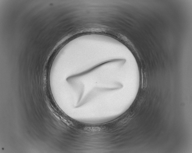 X0000080150435200701051543