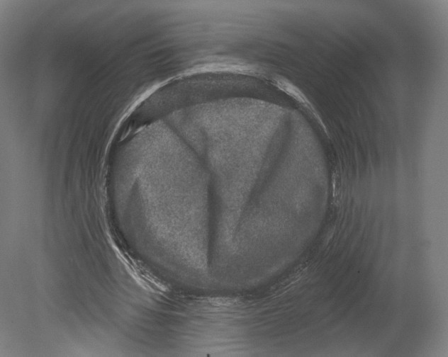 X0000080150436200701051543