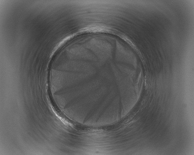 X0000080150438200701051543