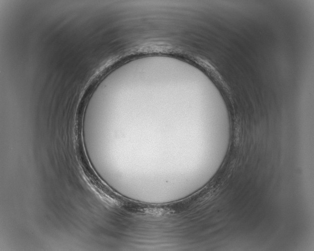 X0000080150439200701051543