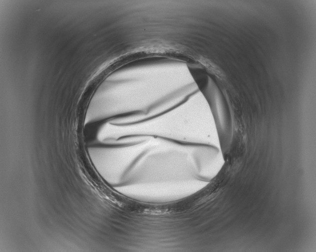 X0000080150440200701051543