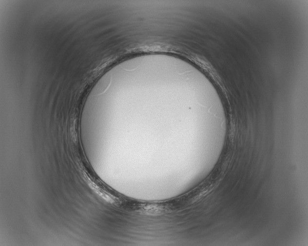 X0000080150441200701051543