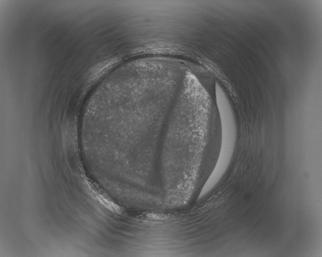 X0000080150442200701051543