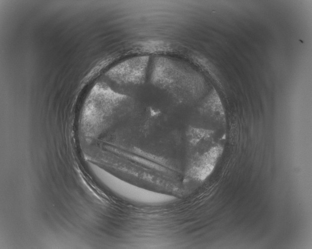 X0000080150443200701051543