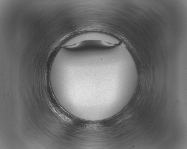 X0000080150446200701051543