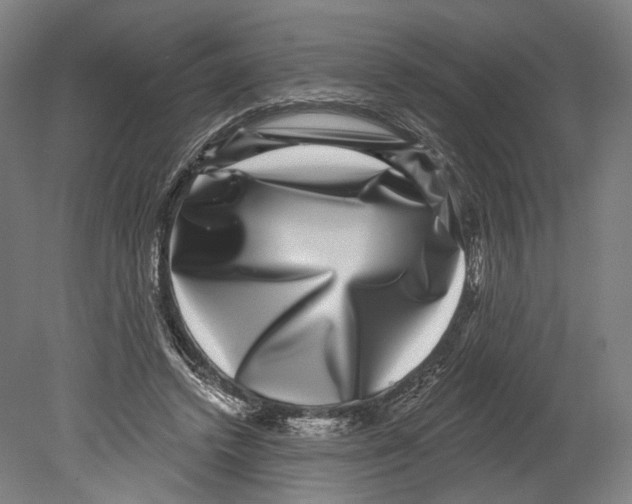 X0000080150448200701051543