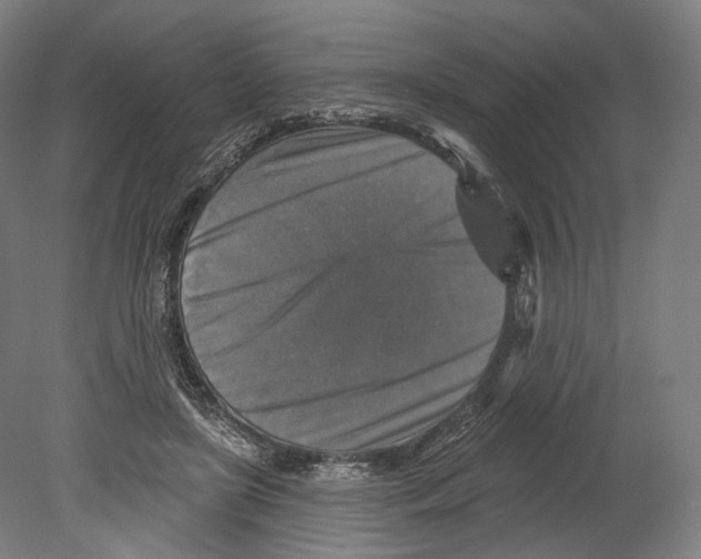 X0000080150451200701051544