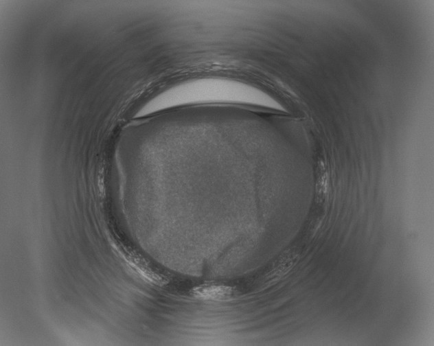 X0000080150452200701051544