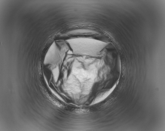 X0000080150453200701051544