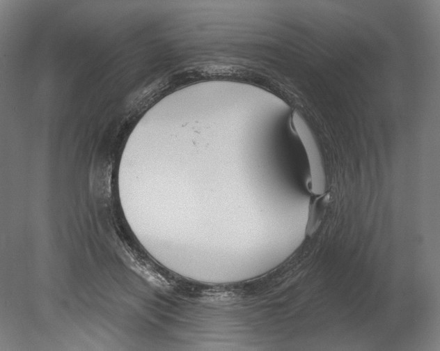 X0000080150454200701051544