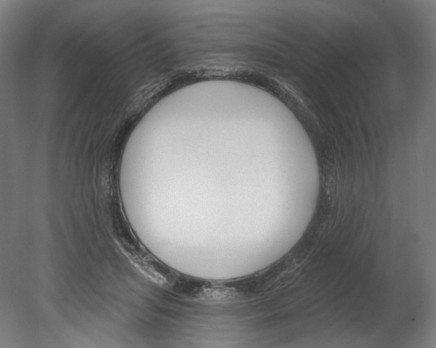 X0000080150455200701051544