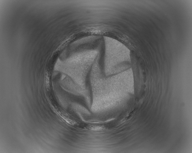 X0000080150456200701051544