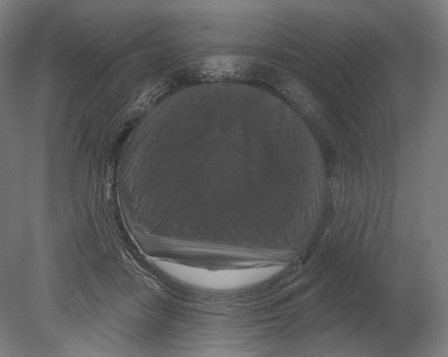 X0000080150458200701051544