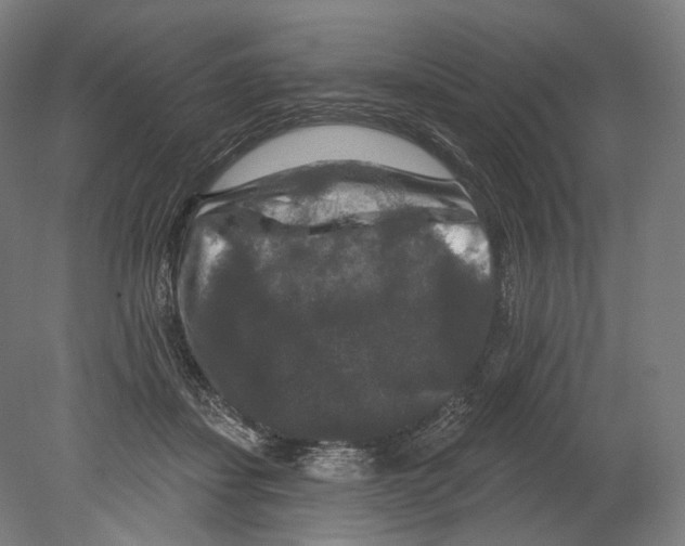 X0000080150459200701051544