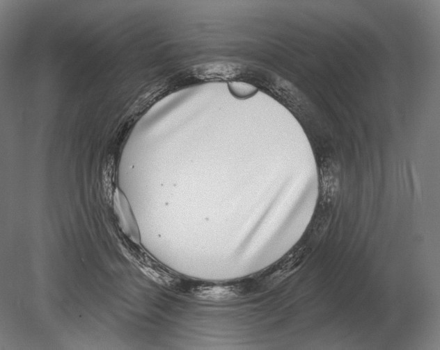 X0000080150460200701051544