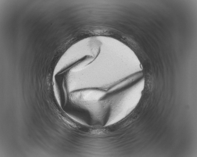 X0000080150461200701051544