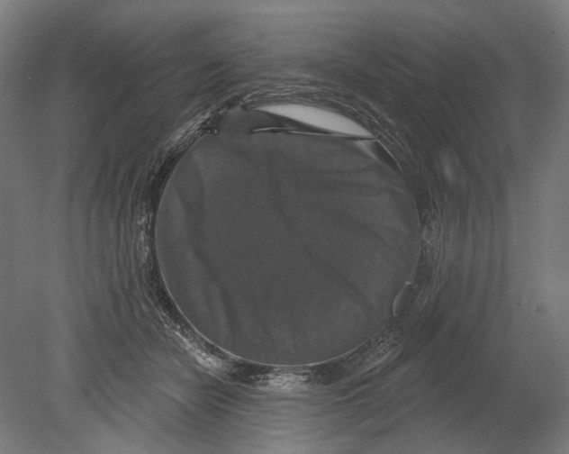 X0000080150462200701051544