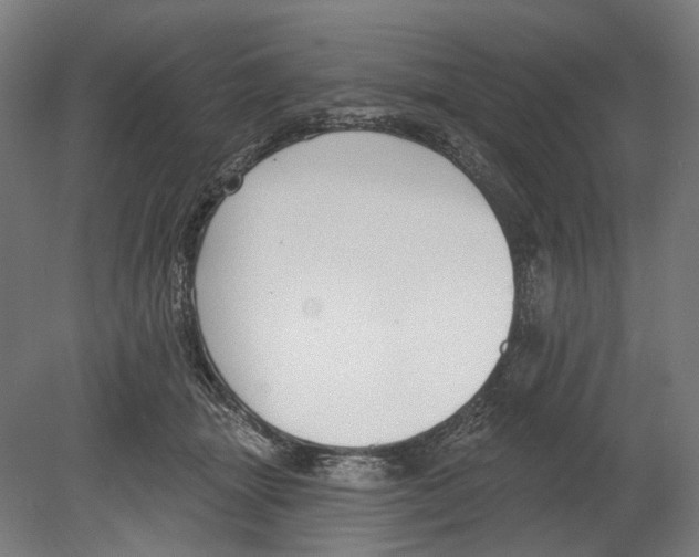 X0000080150463200701051544