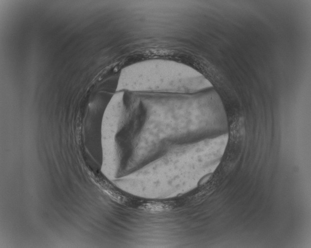 X0000080150464200701051544