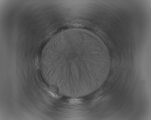 X0000080150465200701051544