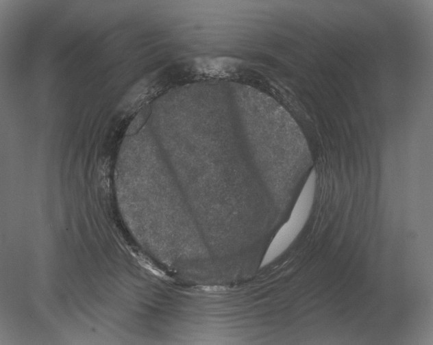 X0000080150466200701051544
