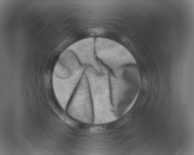 X0000080150468200701051544