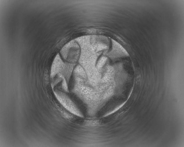 X0000080150469200701051544