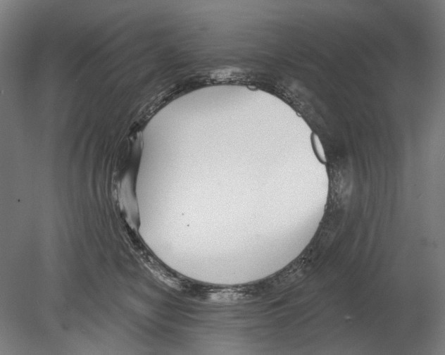 X0000080150470200701051544