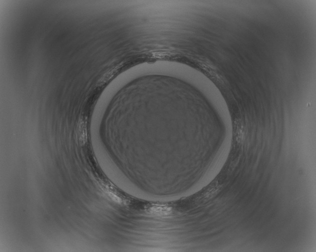 X0000080150471200701051544