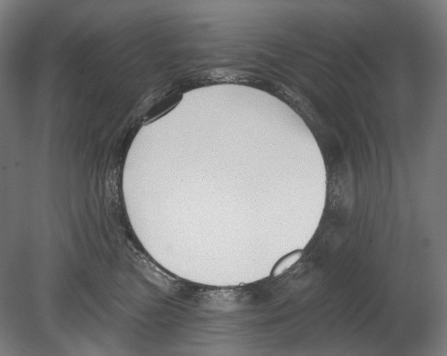 X0000080150473200701051544