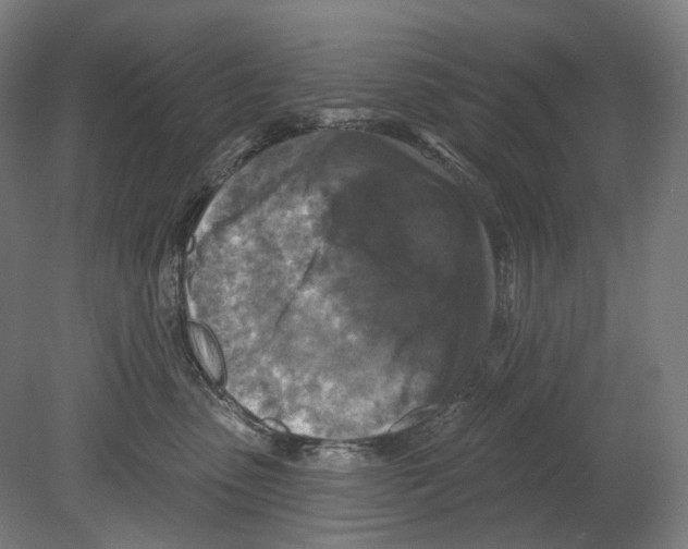 X0000080150475200701051544