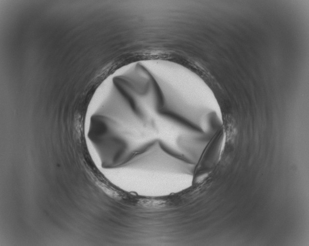 X0000080150476200701051544