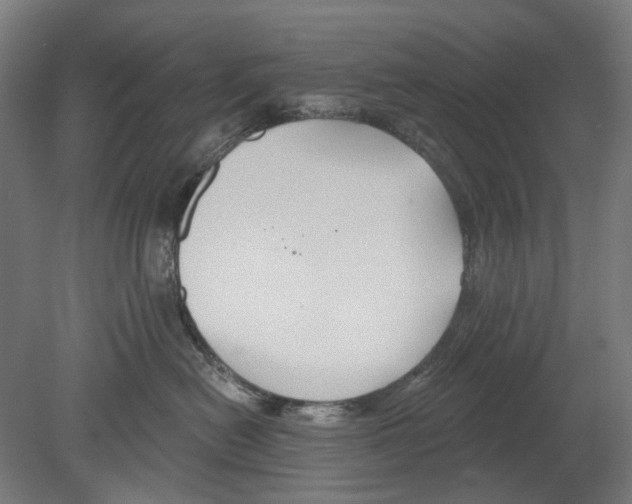 X0000080150478200701051544