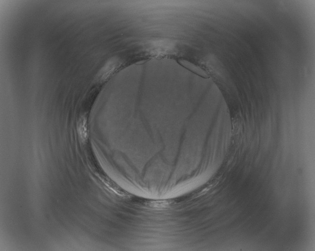 X0000080150479200701051544