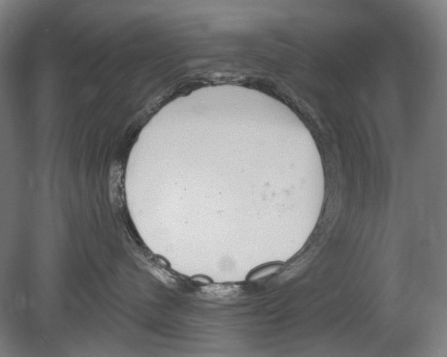 X0000080150480200701051544