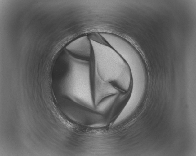X0000080150481200701051543