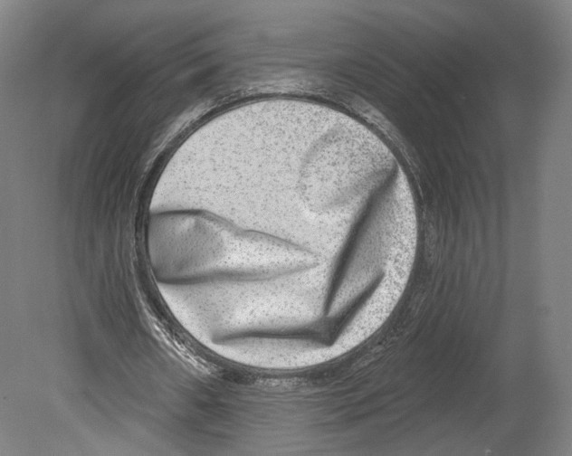X0000080150482200701051543