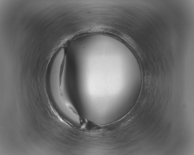 X0000080150485200701051543